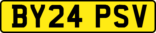 BY24PSV