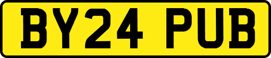 BY24PUB