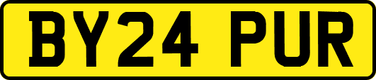 BY24PUR
