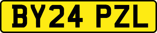 BY24PZL