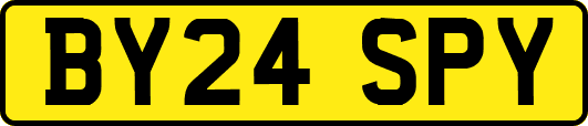 BY24SPY