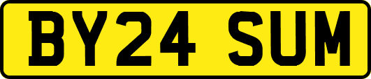 BY24SUM