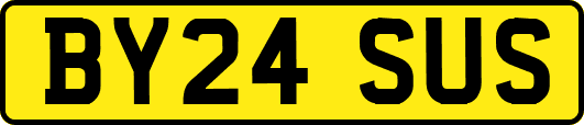 BY24SUS
