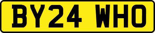 BY24WHO