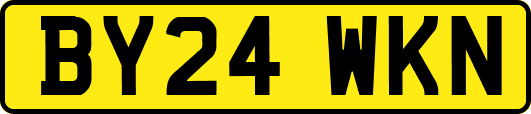 BY24WKN