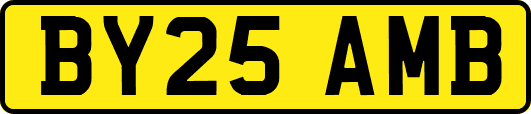 BY25AMB