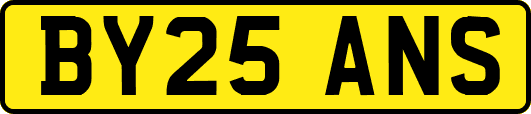 BY25ANS