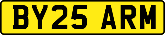 BY25ARM