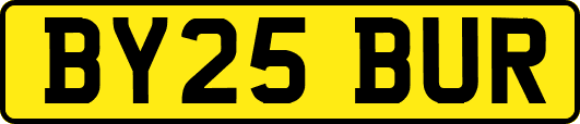 BY25BUR