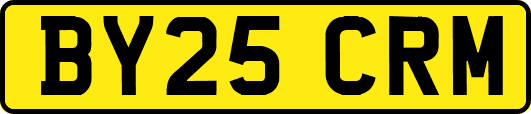 BY25CRM
