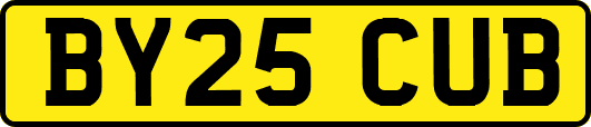 BY25CUB