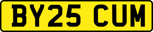 BY25CUM