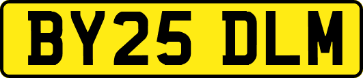BY25DLM