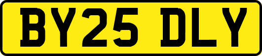 BY25DLY
