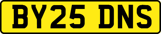 BY25DNS