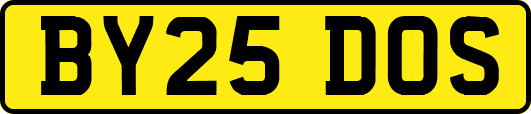 BY25DOS