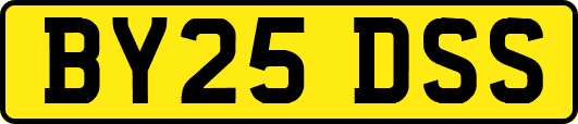 BY25DSS