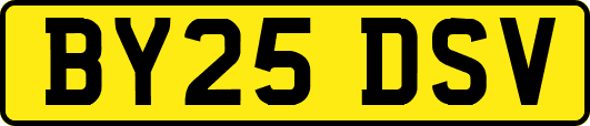 BY25DSV