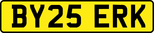 BY25ERK