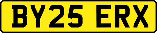BY25ERX