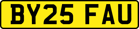 BY25FAU