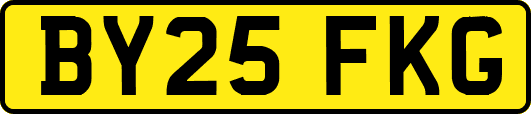 BY25FKG