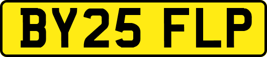 BY25FLP