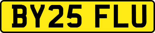 BY25FLU