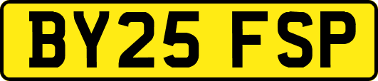 BY25FSP