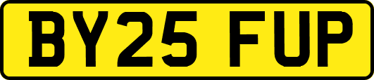 BY25FUP
