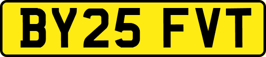 BY25FVT