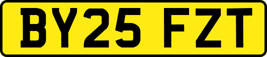 BY25FZT