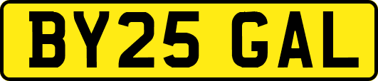 BY25GAL