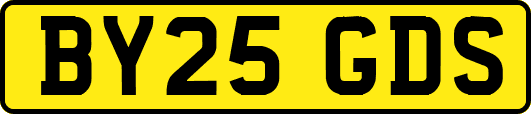 BY25GDS