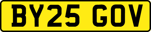 BY25GOV