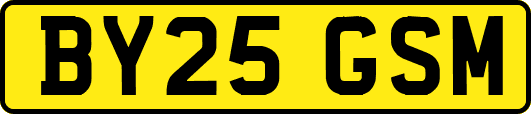 BY25GSM