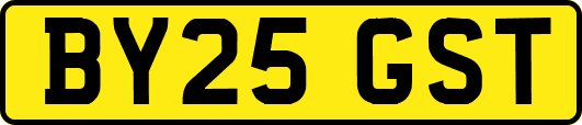 BY25GST
