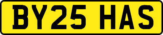 BY25HAS