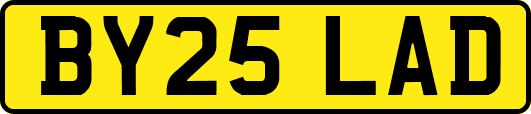 BY25LAD