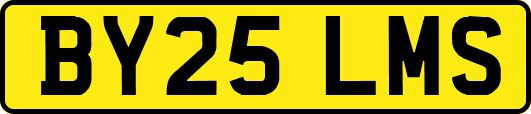 BY25LMS