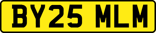 BY25MLM