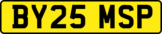 BY25MSP
