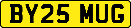 BY25MUG