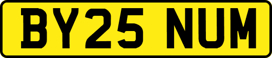 BY25NUM