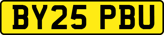 BY25PBU
