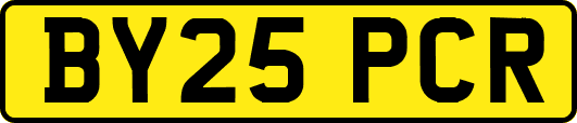 BY25PCR