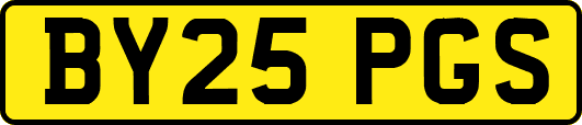 BY25PGS