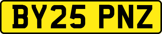 BY25PNZ