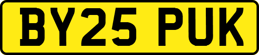 BY25PUK