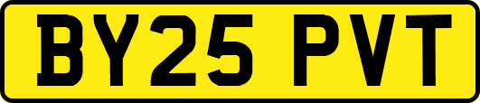 BY25PVT